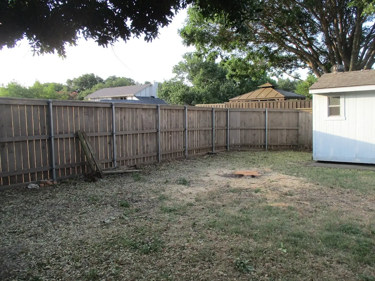 Cleared yard after professional tree removal in Lincoln University