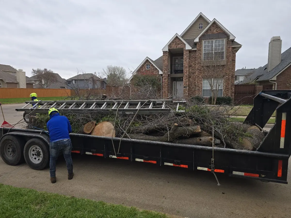 Expert Tree Fertilization with proper safety equipment in Lincoln University
